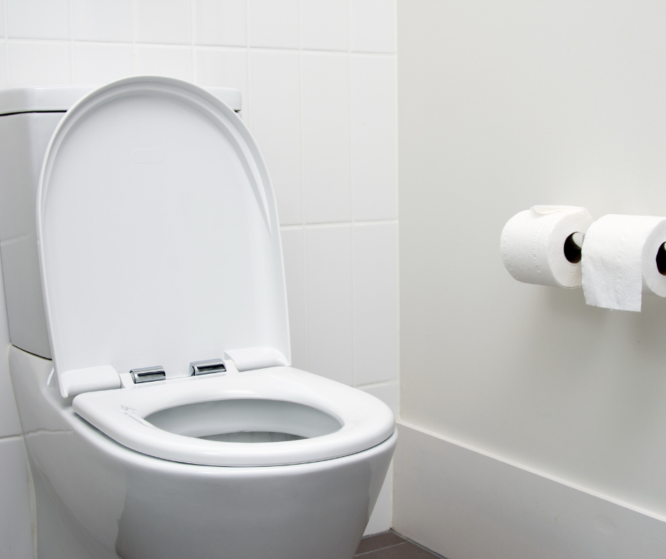 toilet repair service